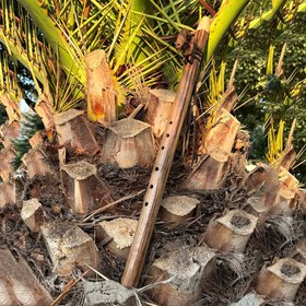 تصویر فلوت سرخپوستی لاکوتا مدل کایوت کوک ر کد c08 