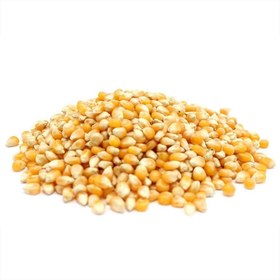 تصویر ذرت خام فله 