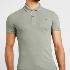 تصویر پلوشرت لاگوست طوسی 