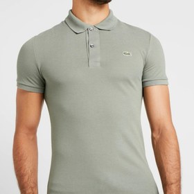 تصویر پلوشرت لاگوست طوسی 