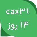 تصویر سرور ساعتی قدرتمند هتزنر | cloud hetzner - سرویس-14-روز-cax31 