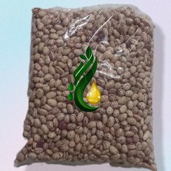 تصویر لوبیا چیتی نگین دانه 