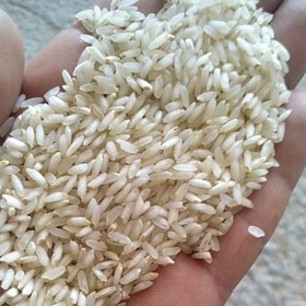 تصویر برنج عنبر بو 