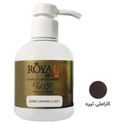 تصویر شامپو رنگساژ 300میل آتوسا رویال 6.851 Atousa Royal Dye Shampoo 300 ml