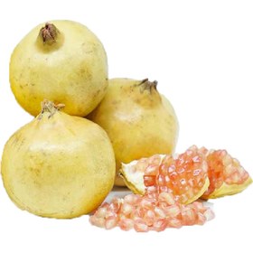 تصویر انار شیرین 