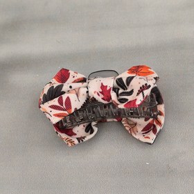 تصویر پاپیون پاییزه (جفتی) 