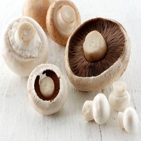 تصویر قارچ پفکی فله 