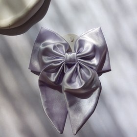 تصویر پاپیون فرانسوی -کد 305 