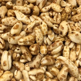 تصویر شیرین گندمک 