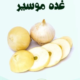 تصویر غده موسیر 