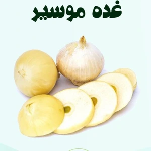 تصویر فروشگاه باغبان ارگانیک