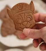 تصویر استامپ سگ های نگهبان ، چیس 