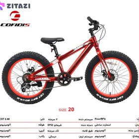 تصویر دوچرخه کافیدیس مدل اسمارت ساحلی سایز 20 ا Cofidis SMART Bicycle Size 20 Cofidis SMART Bicycle Size 20