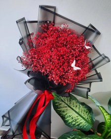 تصویر دسته گل ژیپسوفیلای قرمز 