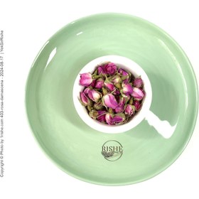 تصویر غنچه گل سرخ 