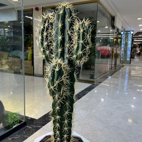 تصویر درختچه‌ کاکتوس مصنوعی 
