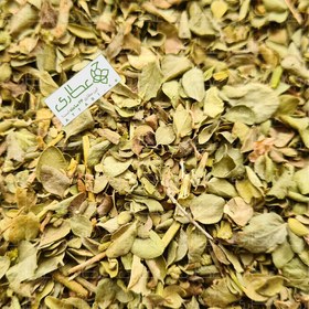 تصویر آویشن شیرازی اعلاء 