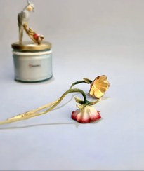 تصویر اسنوفر 