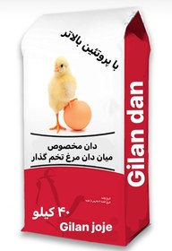 تصویر میان دان مرغ گوشتی 