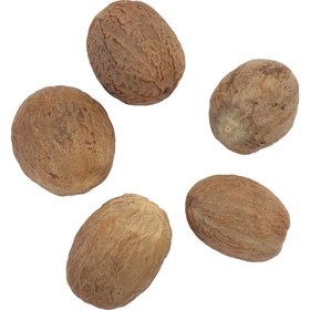 تصویر جوز بویا 