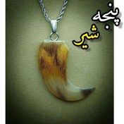 تصویر پنجه شیر آفریقایی 