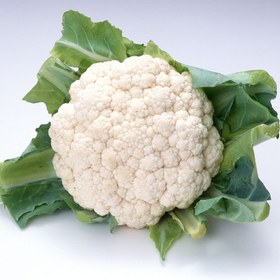 تصویر گل کلم سه کیلو گرم 