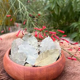 تصویر برگ بو 