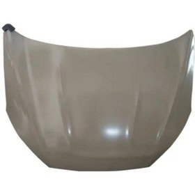 تصویر درب موتور فیدلیتی 