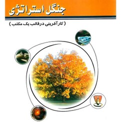 تصویر جنگل استراتژی (کار آفرینی در قالب یک مکتب) هنری مینتزبرگ با ترجمه ی محمود احمدپور داریانی انتشارات جاجرمی 