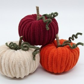 تصویر کدو تزیینی مخملی 