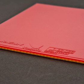 تصویر رویه Rigan یاساکا 