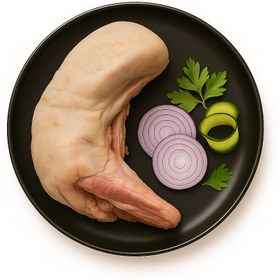 تصویر زبان شتر 