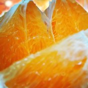 تصویر پرتقال جنگلی شمال (بسته‌های ۵ کیلویی) 