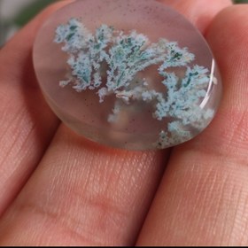 تصویر نگین عقیق شجر بهاری 