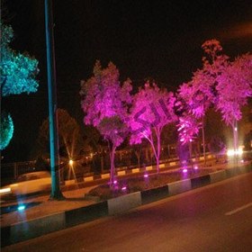 تصویر چراغ دفنی 24وات 