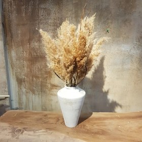 تصویر شاخه گلخشک پامپاس کاراملی Caramel pampas grass