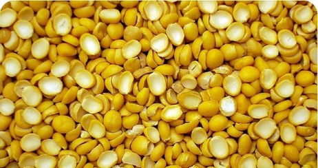 تصویر لپه درجه یک 