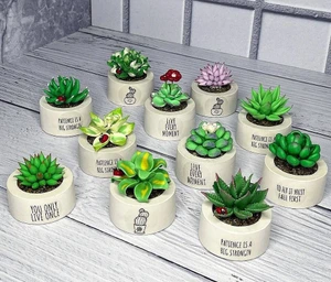 تصویر فروشگاه کالای آویژه