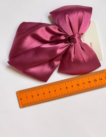 تصویر پاپیون فرانسوی 