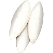 تصویر کف دریا 