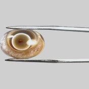 تصویر بابا قوری چند پوسته 250609 