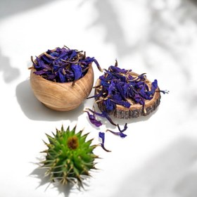 تصویر گل گاو زبان قزوین 