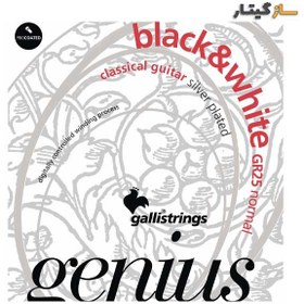 تصویر سیم گیتار کلاسیک گالی gr25 