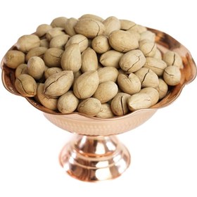 تصویر گردو پیکن با پوست 