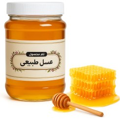 تصویر عسل ارگانیک (500 گرمی) 