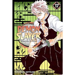 تصویر کتاب مانگا شیطان کش جلد 17 Demon Slayer 