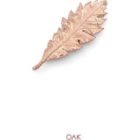 تصویر گل سینه برگ بلوط کد JL.JBC.01149 