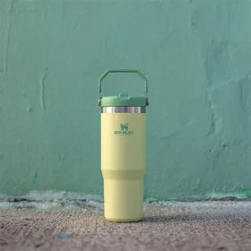 تصویر تراول ماگ استنلی مدل QUENCHER H2.0 TUMBLER گنجایش ۰.۸۸ لیتر 