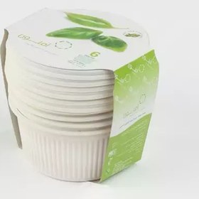 تصویر کاسه یکبار مصرف گیاهی آملون 