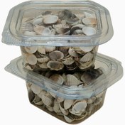 تصویر صدف دریایی، بسته ۱۰۰ گرمی، مناسب کارهای هنری، رها مال 